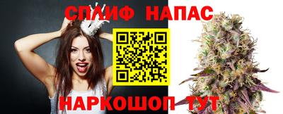 ALPHA PVP Гай