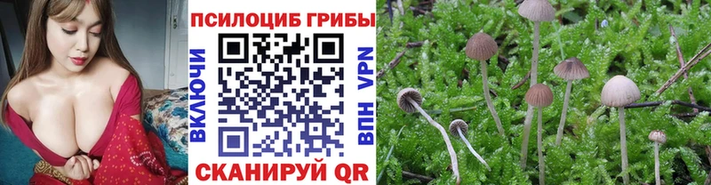 Псилоцибиновые грибы мухоморы  купить наркотик  нарко площадка состав  Комсомольск-на-Амуре 